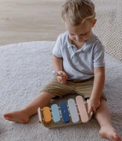 Plan Toys Xylophone Toy 7 Plan Toys Xylophone Toy -Kids Toys Store 0ddaf9f645259f6ea7f5a124c516f5ab20cfb254ee1c5fc437bdedfb2bf8724a jpeg