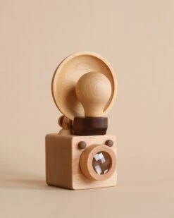 Father’s Factory | Wooden Light Bulb Camera