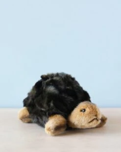 Kids Toys Store -Kids Toys Store 2J2A4079 2