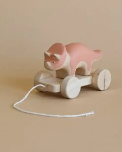 Handmade Wooden Triceratops Dinosaur Push Toy With Built-In Magnets