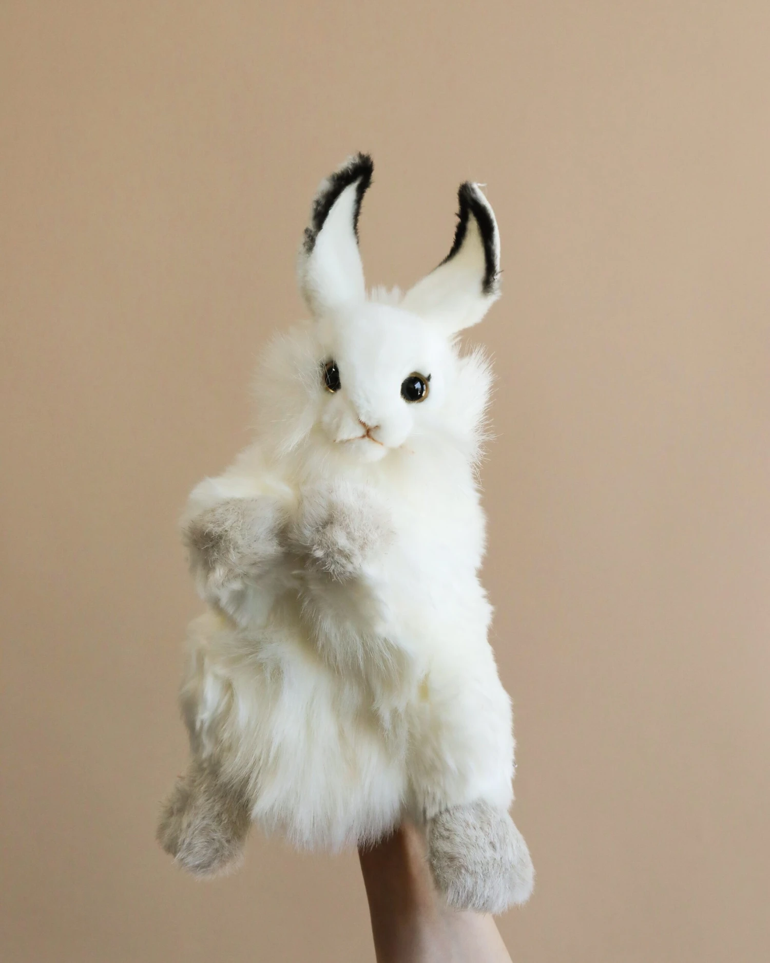 Hansa Bunny Puppet 1 Hansa Bunny Puppet