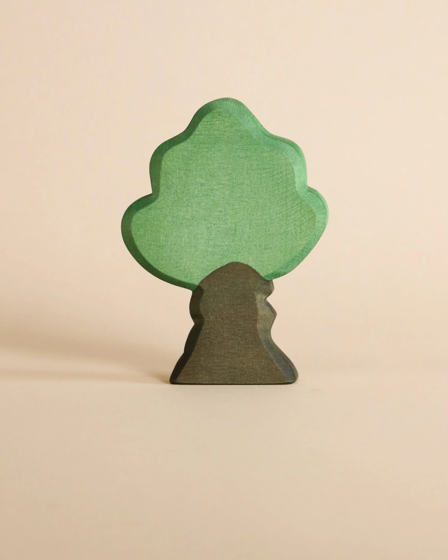 Ostheimer Oak Tree 1 Ostheimer Oak Tree