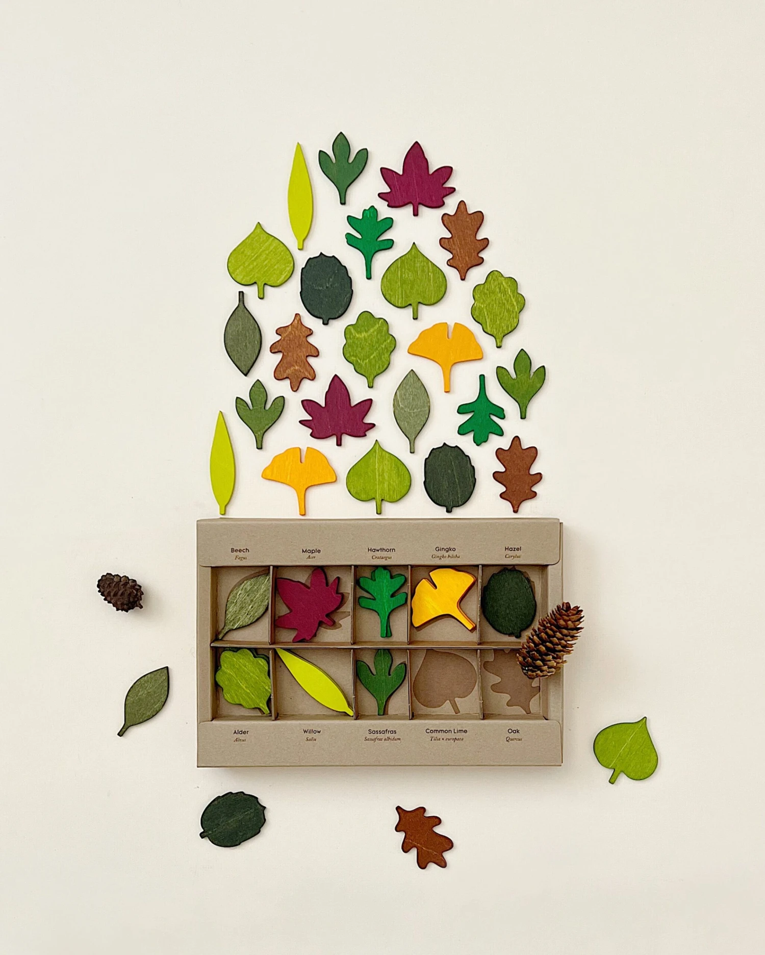 Woodland Leaves 1 Woodland Leaves