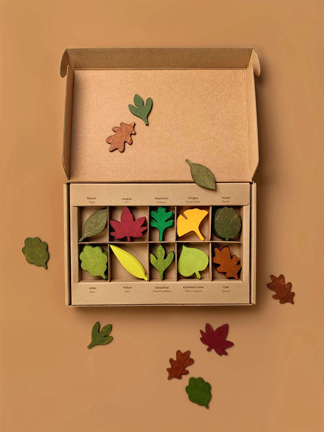 Woodland Leaves 2 Woodland Leaves - Image 2