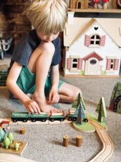 Tender Leaf Toys Wild Pines Train Set 13 Tender Leaf Toys Wild Pines Train Set -Kids Toys Store TL8702 wild pines train set 12 jpg