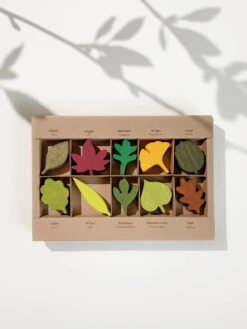 Woodland Leaves 7 Woodland Leaves -Kids Toys Store moon picnic woodland leaves 001
