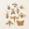 Handmade 11-Piece Wooden Insects